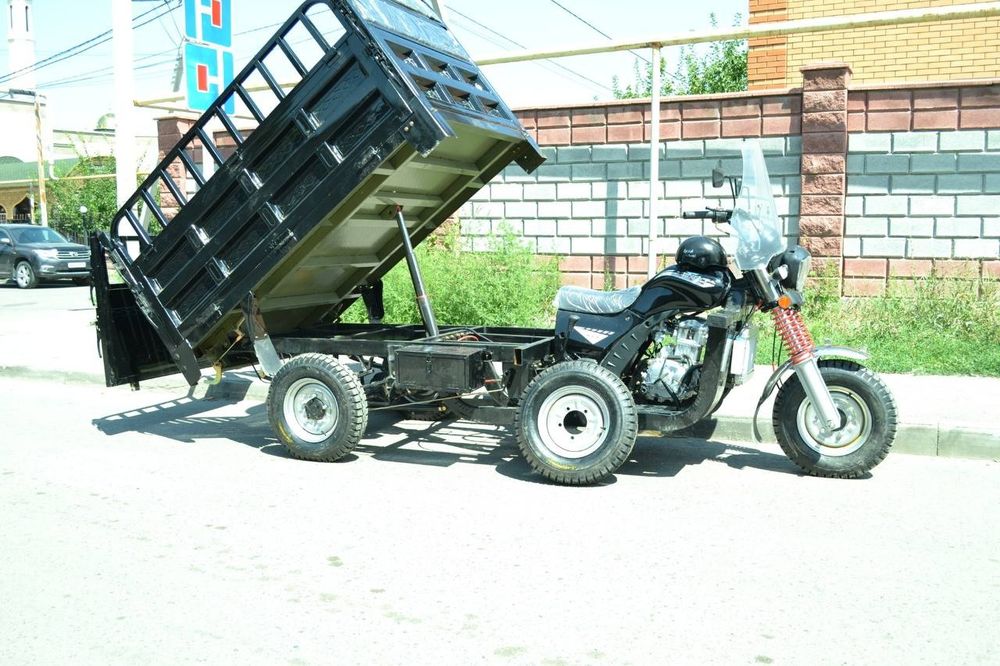 Муравей  трисикыл  новый