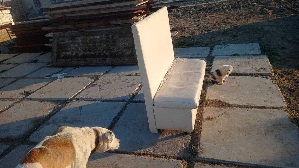 Диваны для бизнеса пс кафе и т.д.