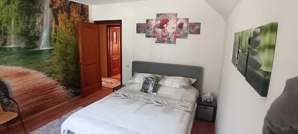 Vand casa la munte