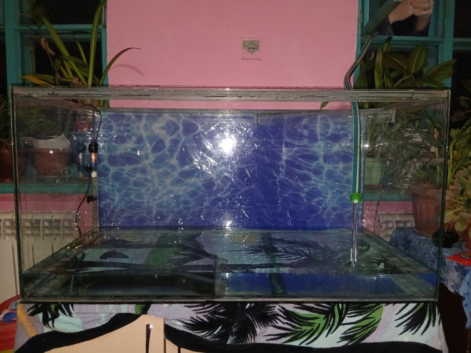 Аквариум больше 100 литров