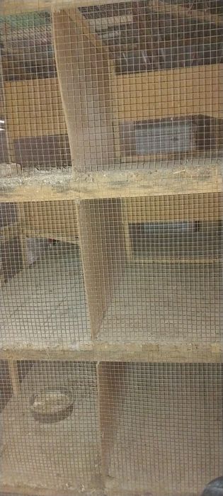 To'rt qavatli katak sotiladi.