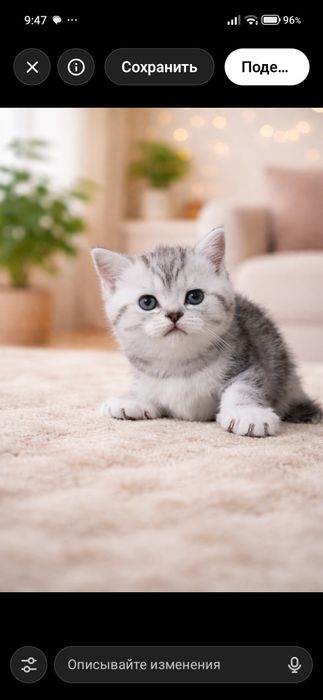 Продаются котята мальчики и девочки
