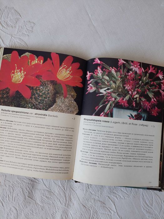 Книга-справочник Кактусы