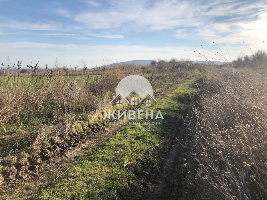 Продава се Парцел в с. Рогачево, Област Добрич - 5259 кв.м за 28 €/кв.м - Снимка #6