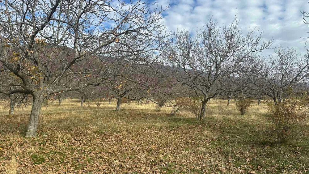 Продава се Земеделски имот в Карлово -  кв.м за 1 €/дка - Снимка #3