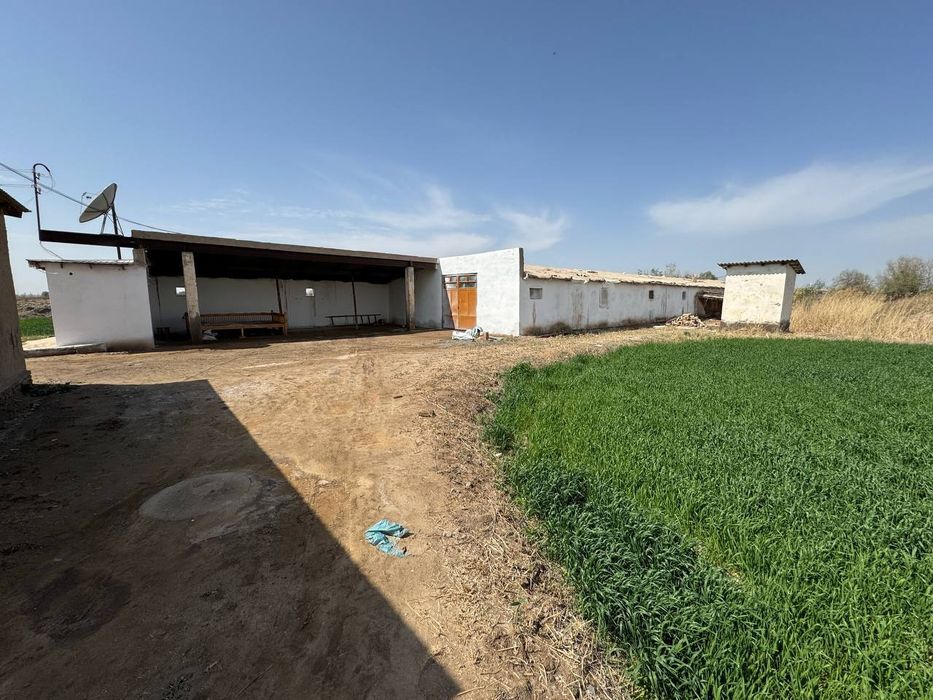 Ферма турор жой 6600 кв +3000кв ер