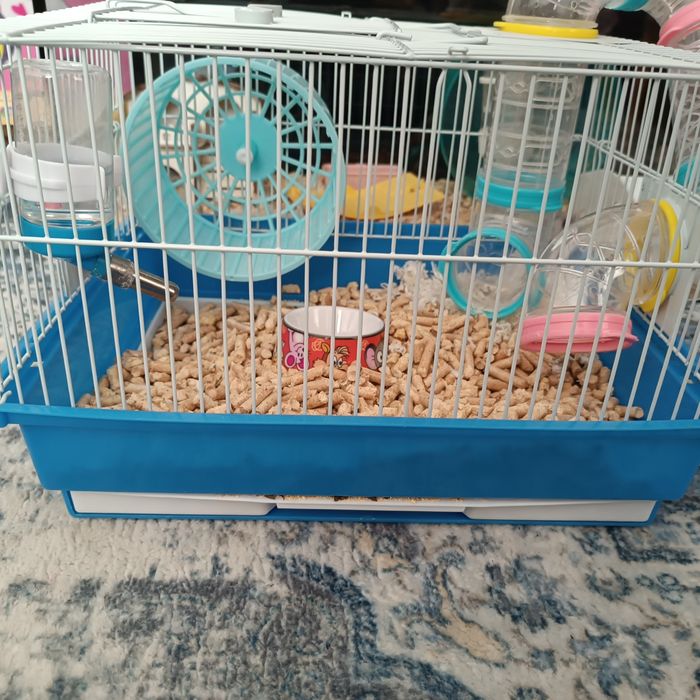 Vans cușcă, accesorii și hamster pitic