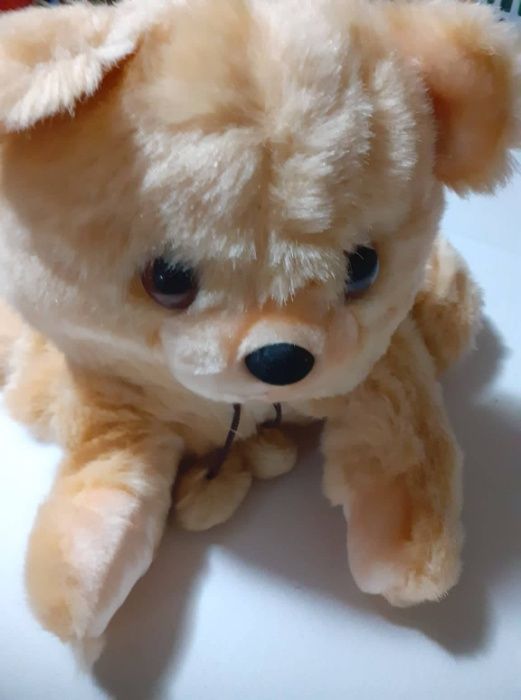 Играчки от затворил магазин-кукли, бебета, ранички