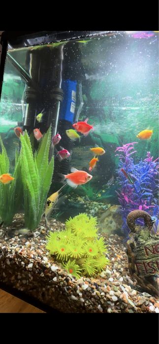 Продам аквариум