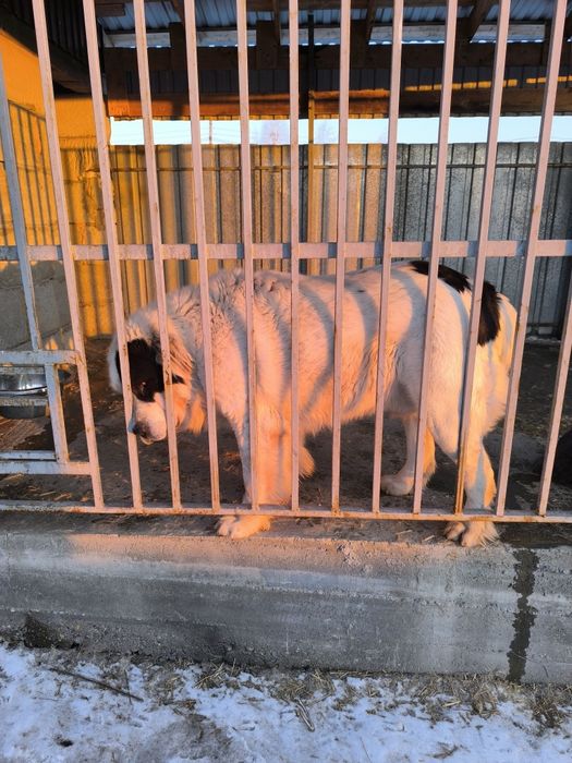 Кабель для вязки