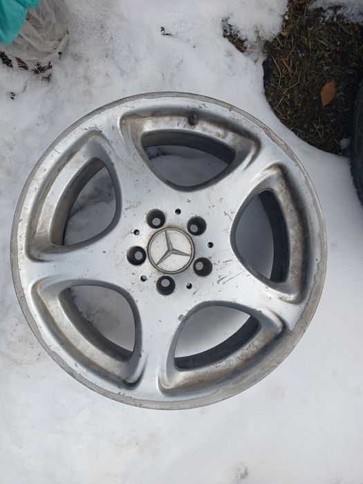 Мерседес кабаннын титанкілері сатылады