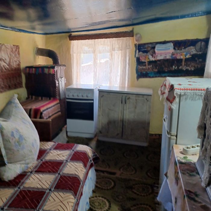 CASĂ CU CURTE Danceni Podu Turcului | Apă Gaz Canal | 6600mp + Vie | 40.000€