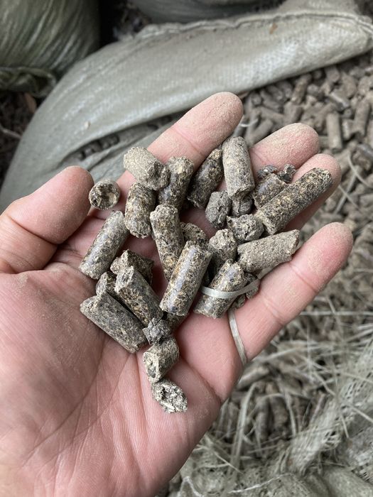 Шрот подсолнуха семечки