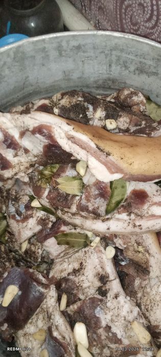 Продам домашние свежее сало