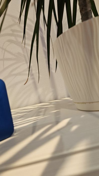 JBL GO 2 тонколонка