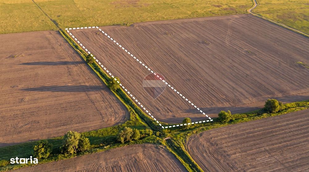 Teren extravilan 12,500mp Dumbrava / Prahova