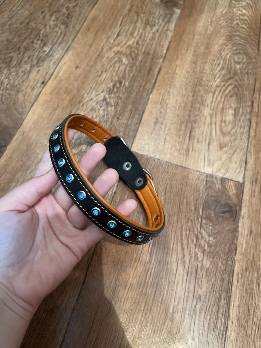 Ошейник для собак