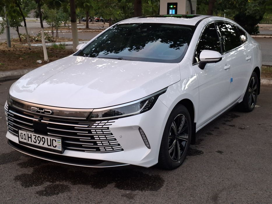 BYD chazor 2024 год 4 п фул