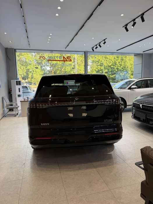 Dongfeng 008 full 2026