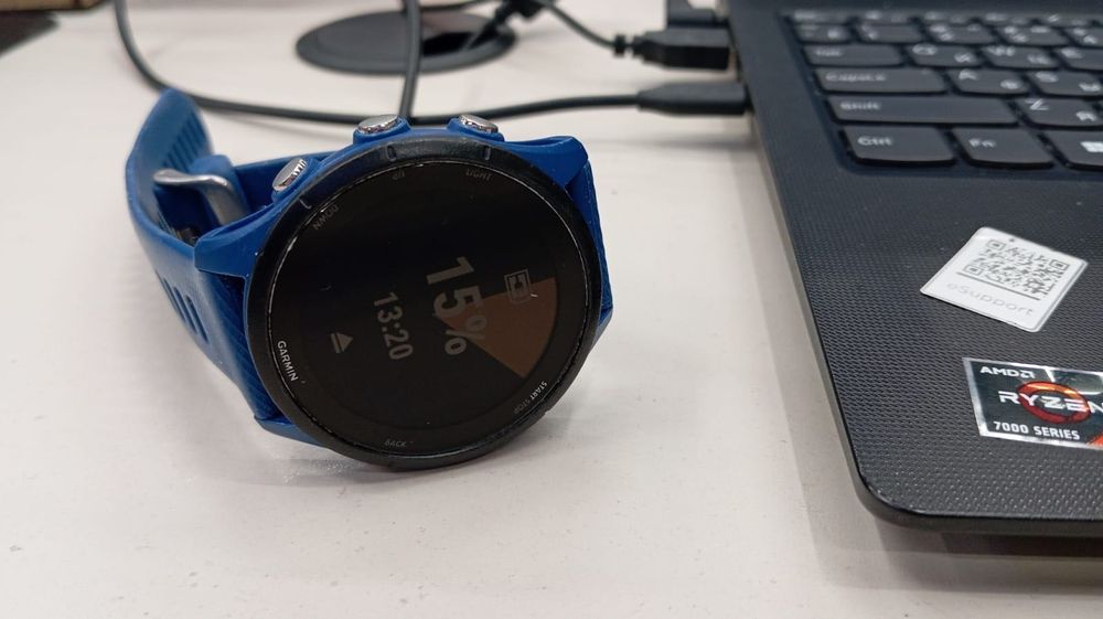 Часы спортивные Garmin Forerunner 255