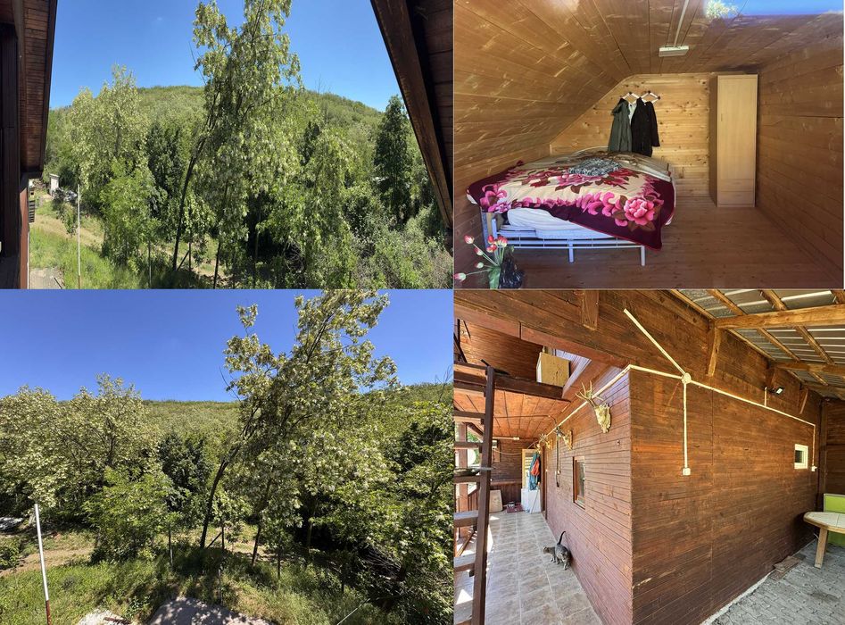 Vand casa / cabana inconjurata de padure / natura in Minis
