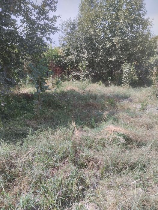 Toshkendan uncha uzo bomagan yer uchastka sotiladi