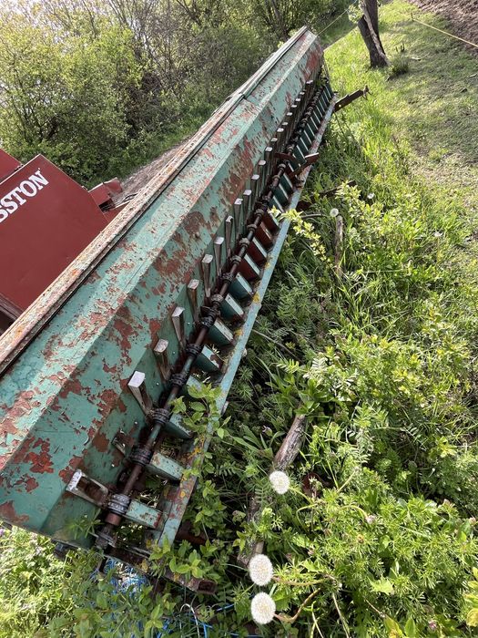 Semanatoare paioase sup 29