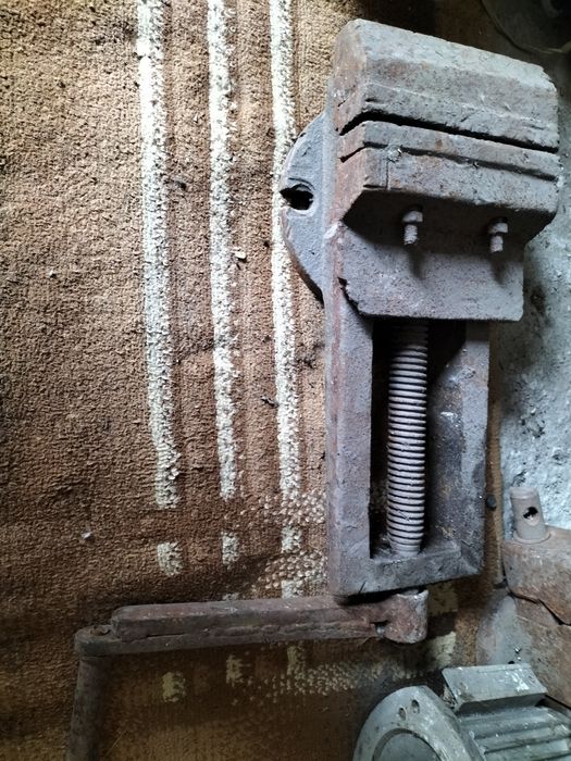 Тисы советского качества.