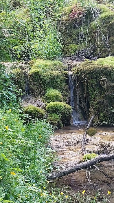Vând miere de albine naturala
