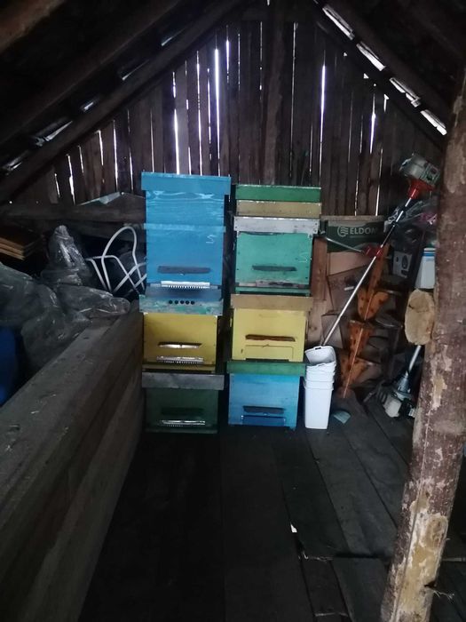 Stupi ieftini pentru albine