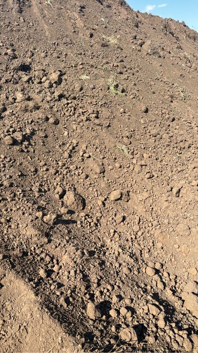 Черназем перегной