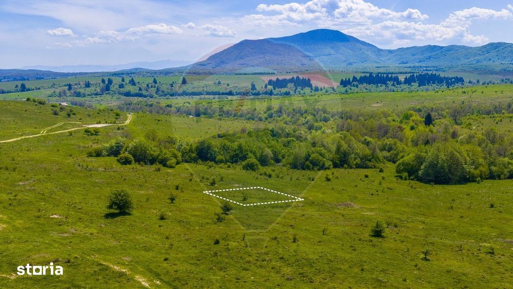 Teren 500mp Vlădeni/ Oportunitate investițională/ Comision 0%