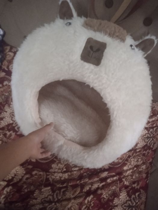 Mushukchalar uychasi va juda isiqina ixcham chiroyli