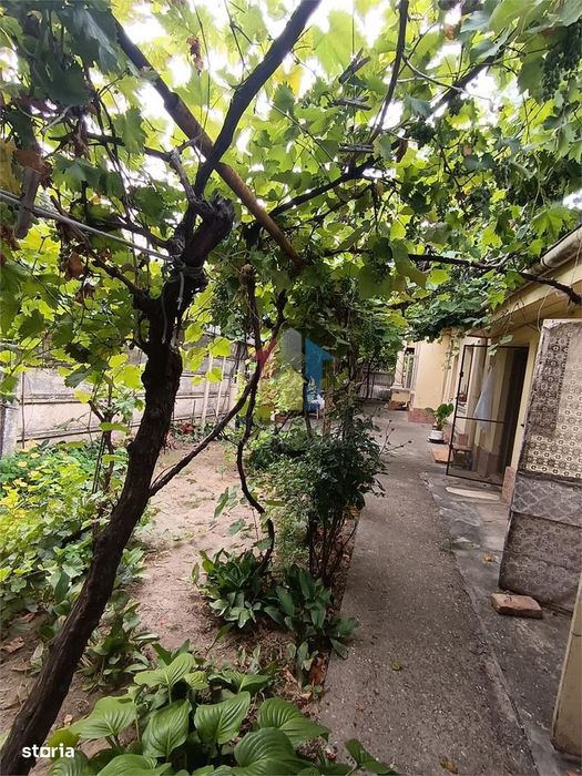 Casa  Boiereasca 3 camere caramida si boltari zona Centrala Brainconf