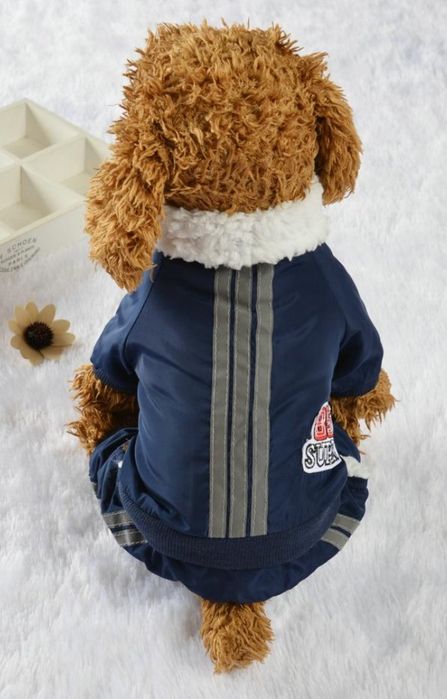 Зимен гащеризон за малка порода куче