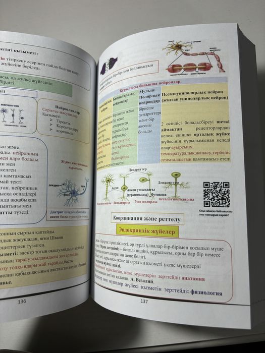Порно үй орыс массажы