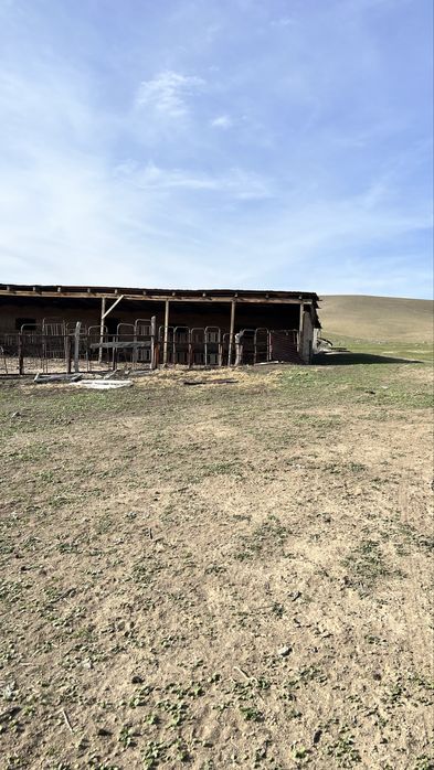 Фазенда 120 гектар