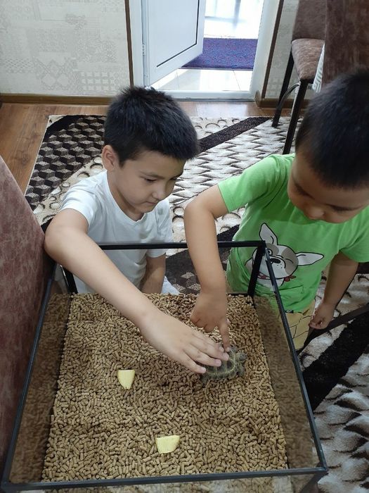 Изготавливаю аквариумы и террариумы на заказ (стекло)