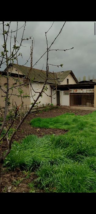 uy sotiladi manzll yuqori chirchiq tumani bardankul bolta 10 sotix er