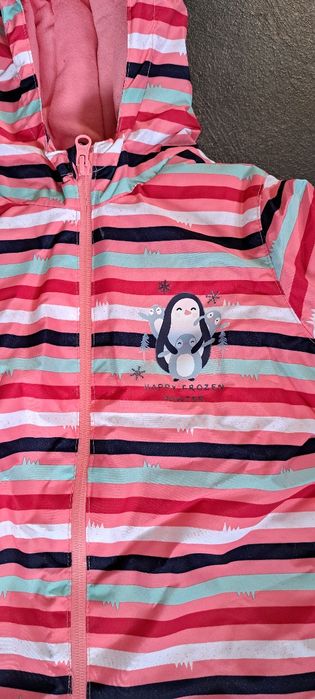 Шушляков гащиризон