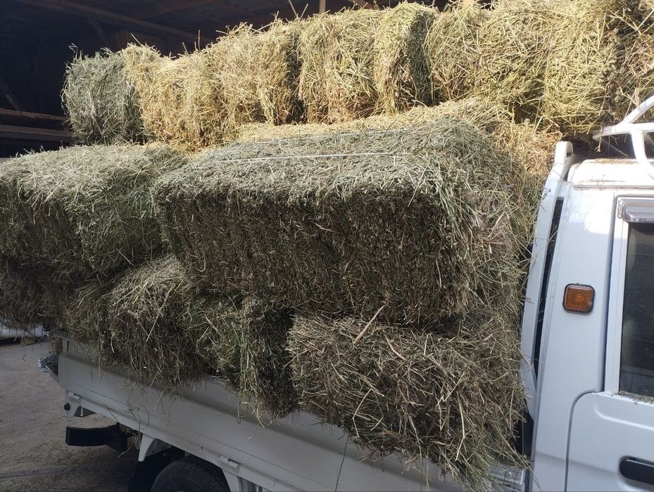 Беда Сотилади Фаргона