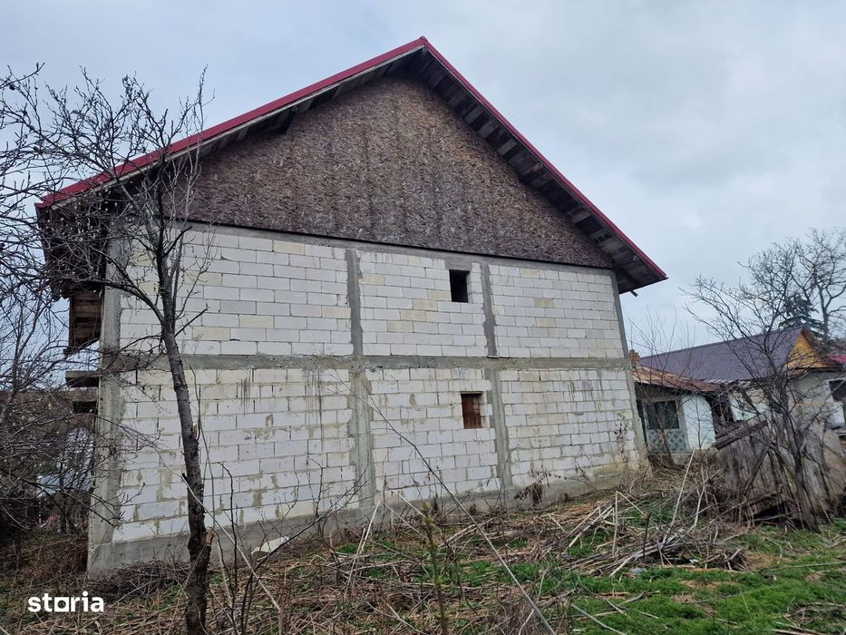 Casa Vladia/ Dragomirești jud Vaslui