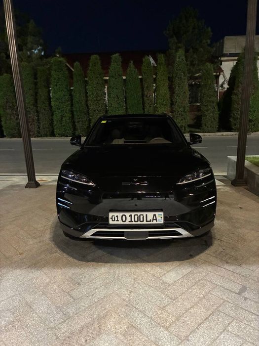 Byd chempion Smart