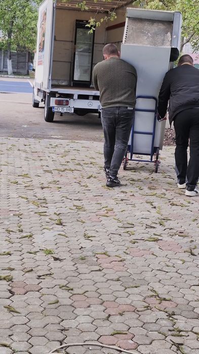 Bibanu Mutări și Curățenie