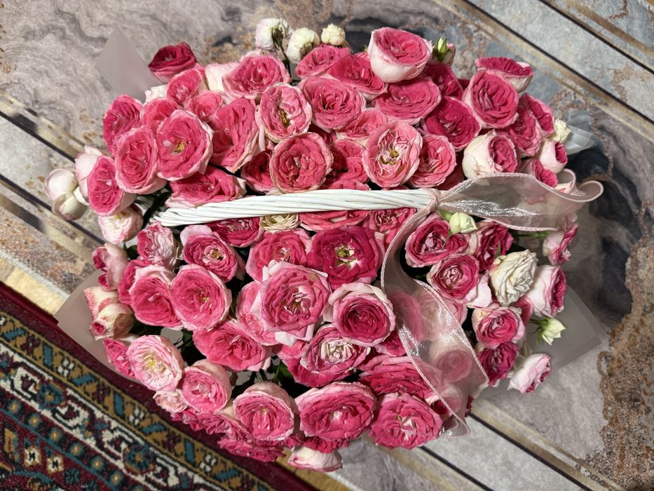 Цветы за 15к отдам