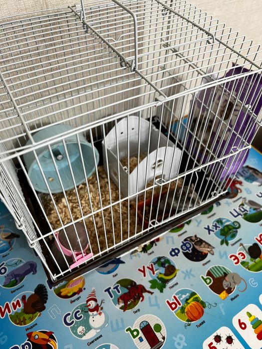 Продам клетку для хомяка