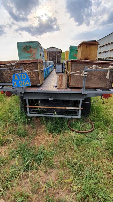 Продам пчелоприцеп