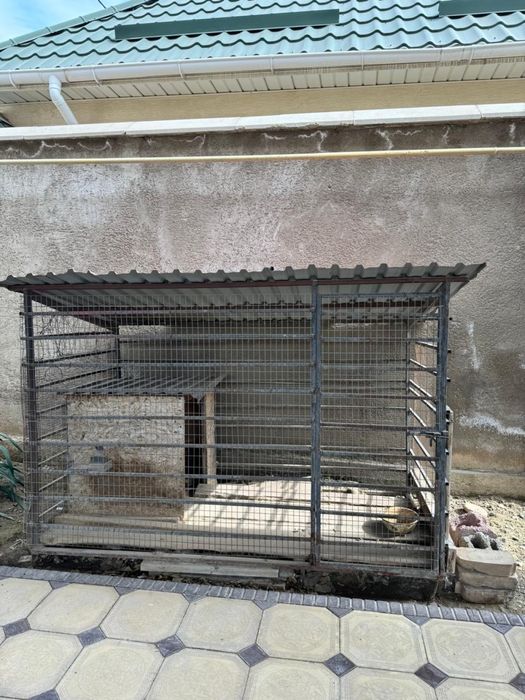 домики для собак