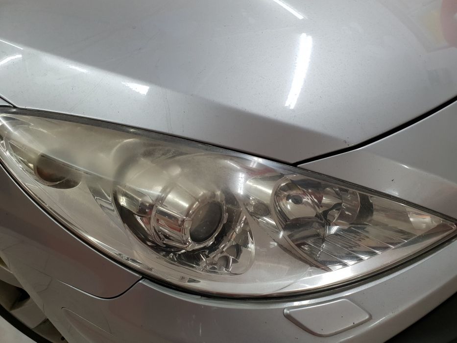 Polish faruri Sector 5