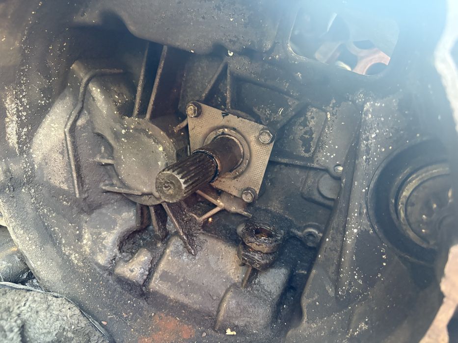 Каропка девятычный